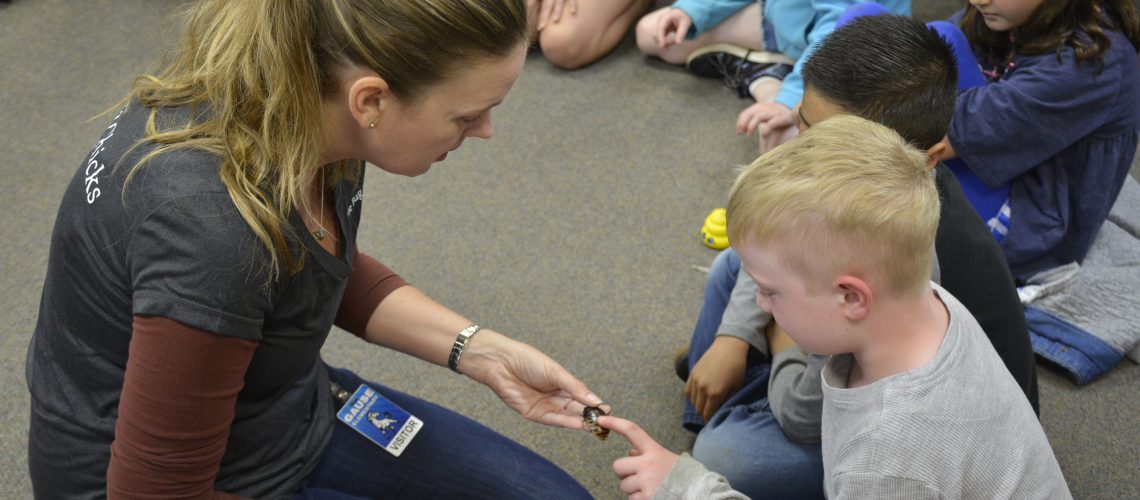 Entomologist Kristine Reddick holds an insect and allows a student to pet it's back while other students look