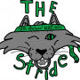 The Stride cat logo with green headband