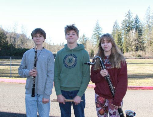 Students participate in Honor Band