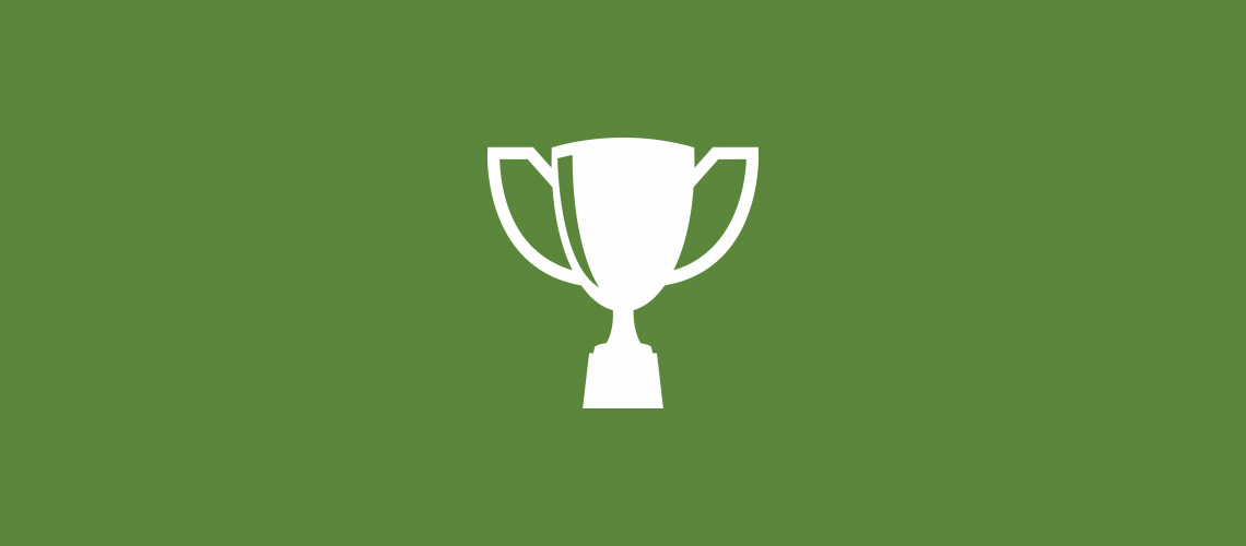 trophy or prize icon