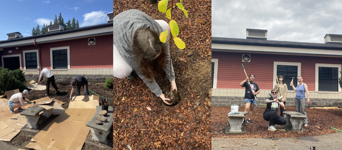 Students planting in courtyard, putting down barrier for weeds